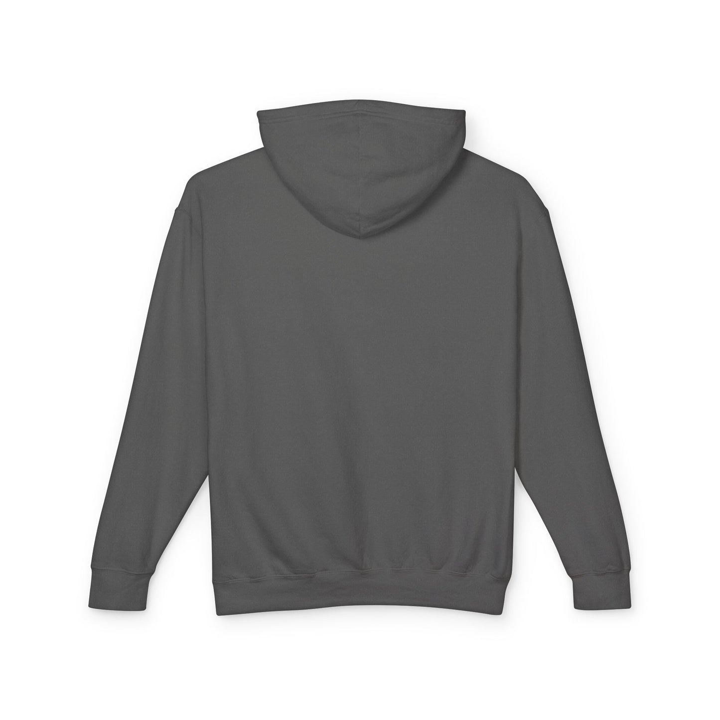 Unisex Lightweight Hoodie - 'Tutto Passa' Casual Sweatshirt, Perfect Gift for Friends, Fall Outfit, Cozy Layering, Inspirational Apparel