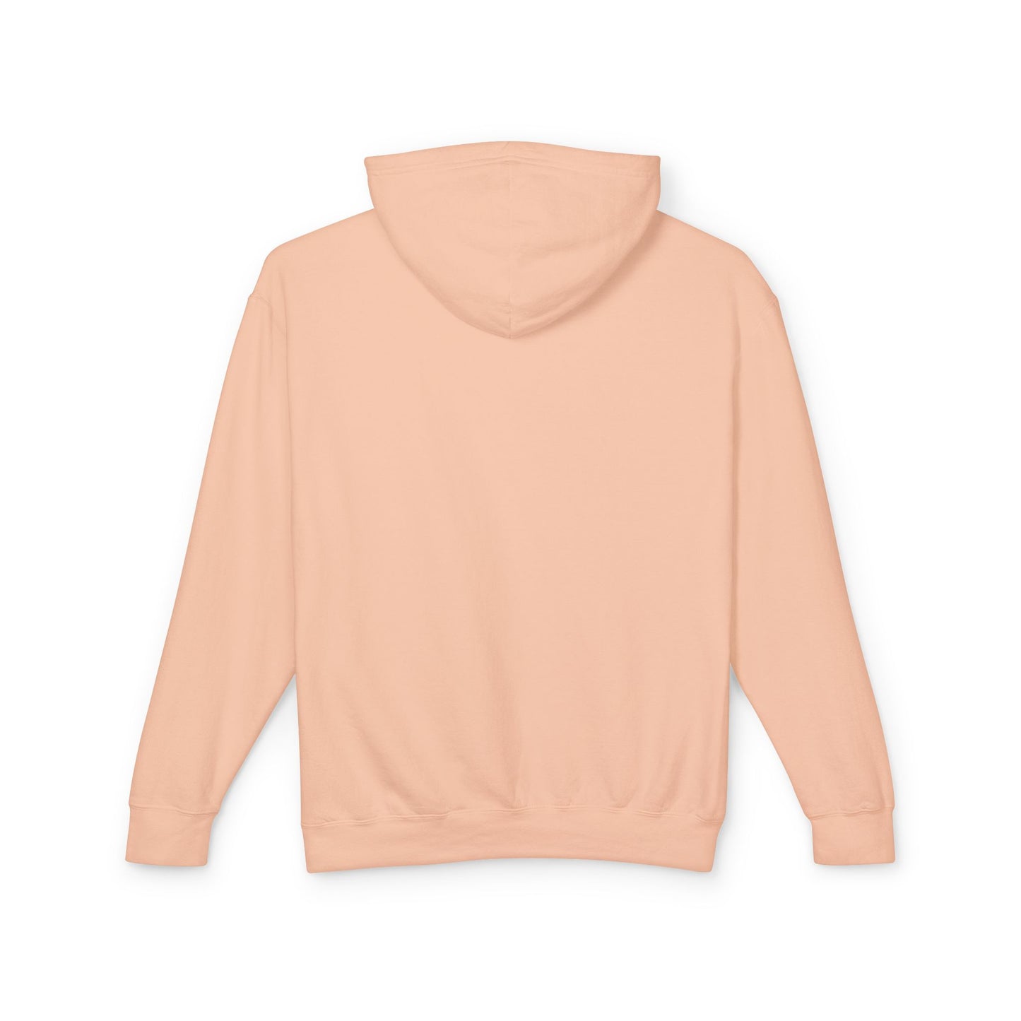 Unisex Lightweight Hoodie - 'Tutto Passa' Casual Sweatshirt, Perfect Gift for Friends, Fall Outfit, Cozy Layering, Inspirational Apparel
