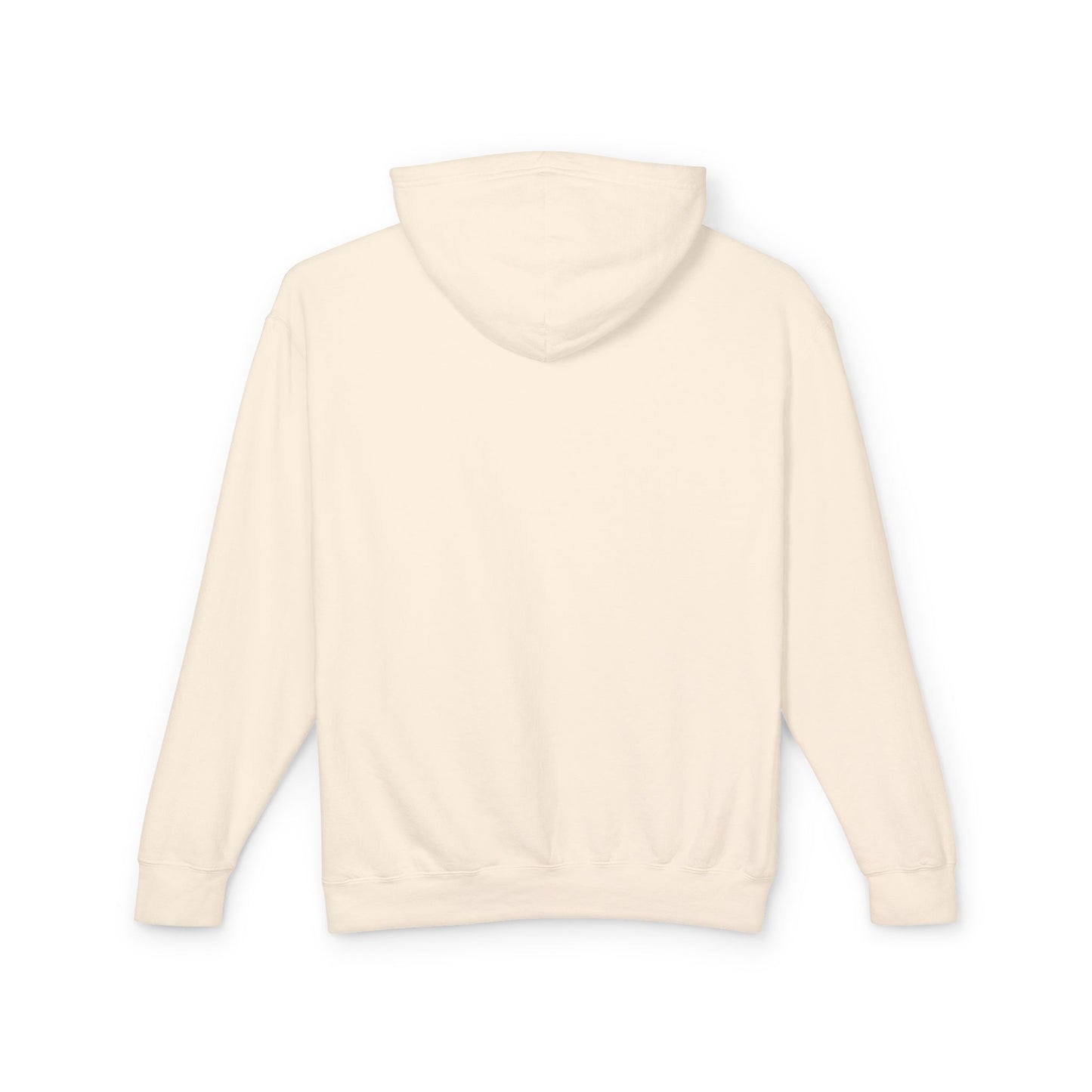 Unisex Lightweight Hoodie - 'Tutto Passa' Casual Sweatshirt, Perfect Gift for Friends, Fall Outfit, Cozy Layering, Inspirational Apparel